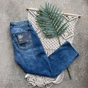 NWOT Silver Jean Capris Size 27